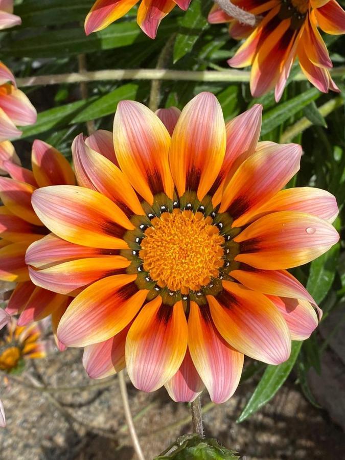 B&B Il Corallo La Maddalena  Kültér fotó
