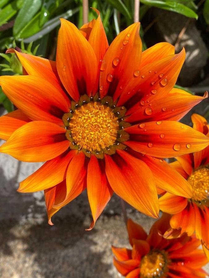 B&B Il Corallo La Maddalena  Kültér fotó